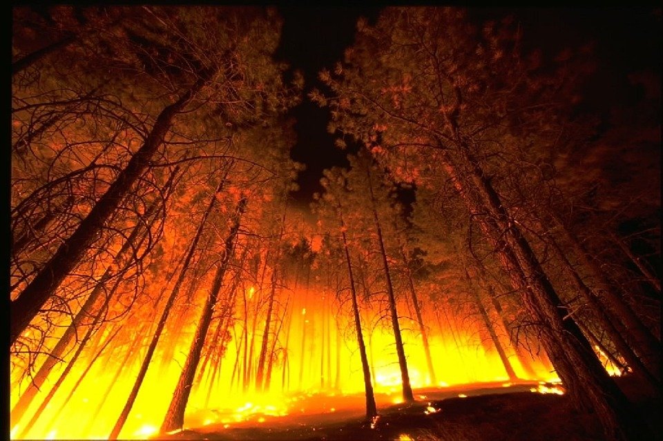 В Нижегородской области вновь объявлено экстренное предупреждение из-за высокой пожароопасности - фото 1