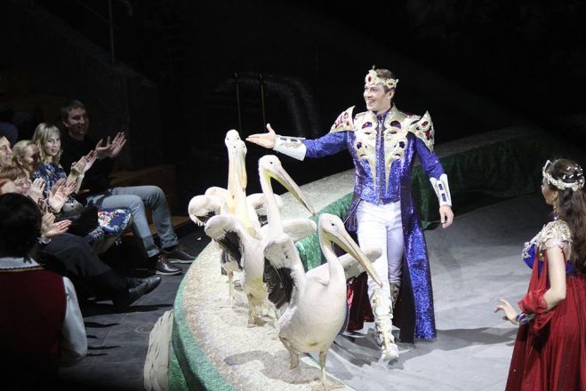 Леопарды под куполом цирка: премьера шоу &laquo;Баронеты&raquo; (ФОТО) - фото 13