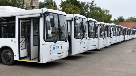 Дзержинск получил новые автобусы для социальных маршрутов