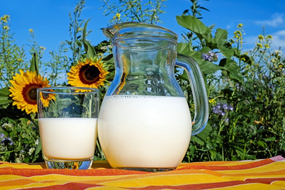 Антибиотики и растительный жир: кто из производителей молока обманывает россиян - фото 1