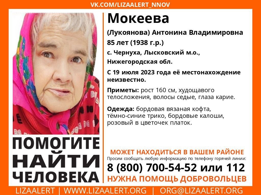 85-летнюю женщину уже неделю разыскивают в Лысковском районе - фото 1