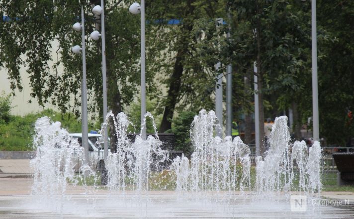 Чаша забвения: как выглядят фонтаны Нижнего Новгорода и что с ними не так - фото 87
