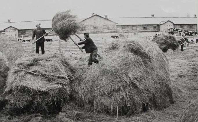 Семенов в Нижегородской области: история и архивные фото &laquo;столицы Золотой хохломы&raquo; - фото 24