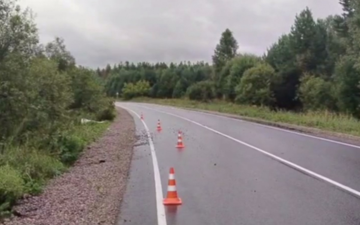 87-летний водитель пострадал в ДТП Нижегородской области - фото 1