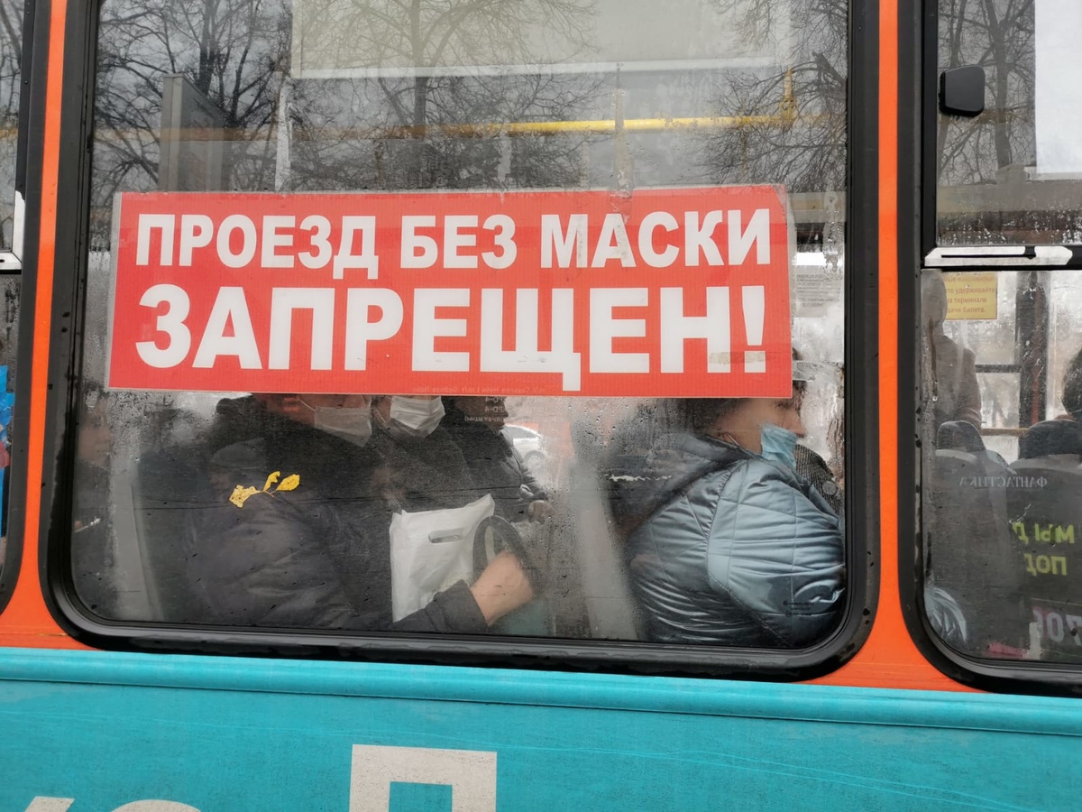 Нижегородского перевозчика оштрафуют за нарушение масочного режима - фото 1