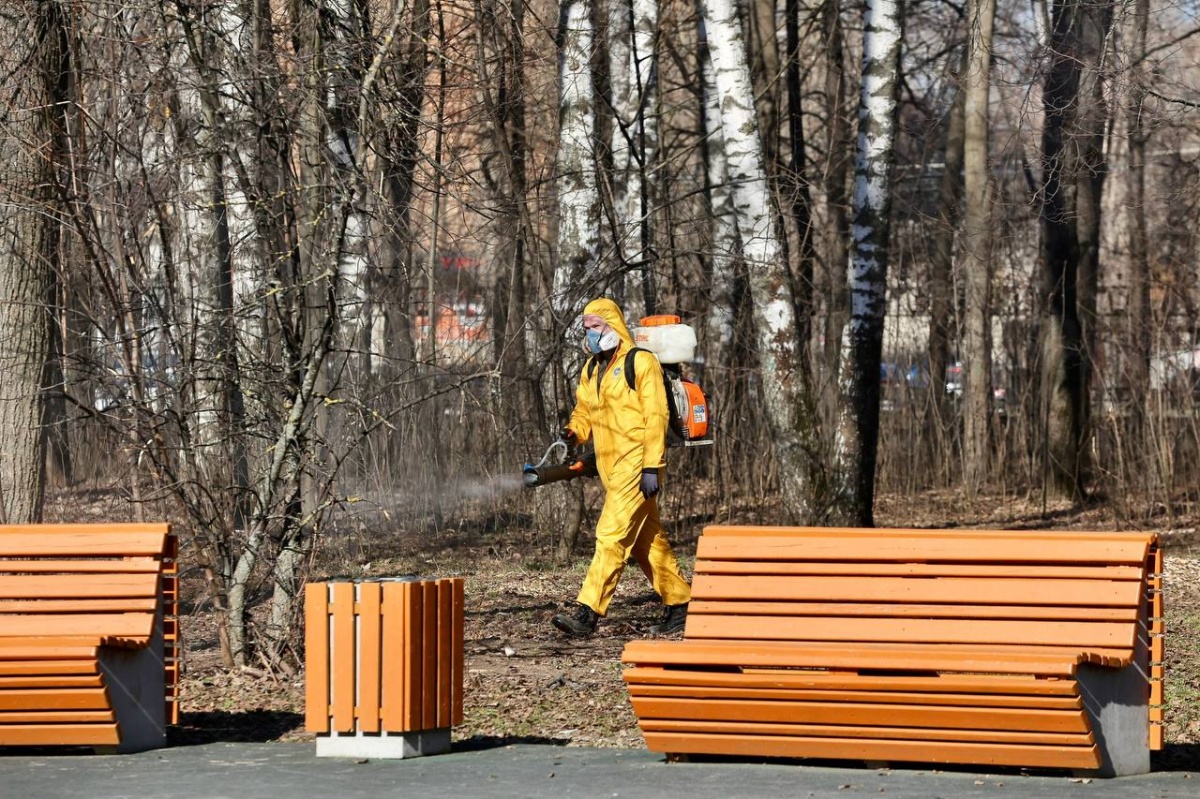 Нижегородские парки и леса начнут обрабатывать от клещей 15 апреля - фото 1