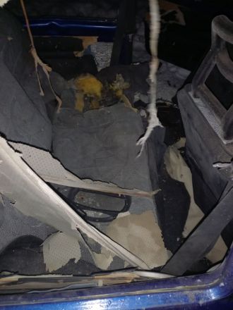 Кстовчанин взорвал петарду в машине, повторив опыт из интернет-ролика - фото 9