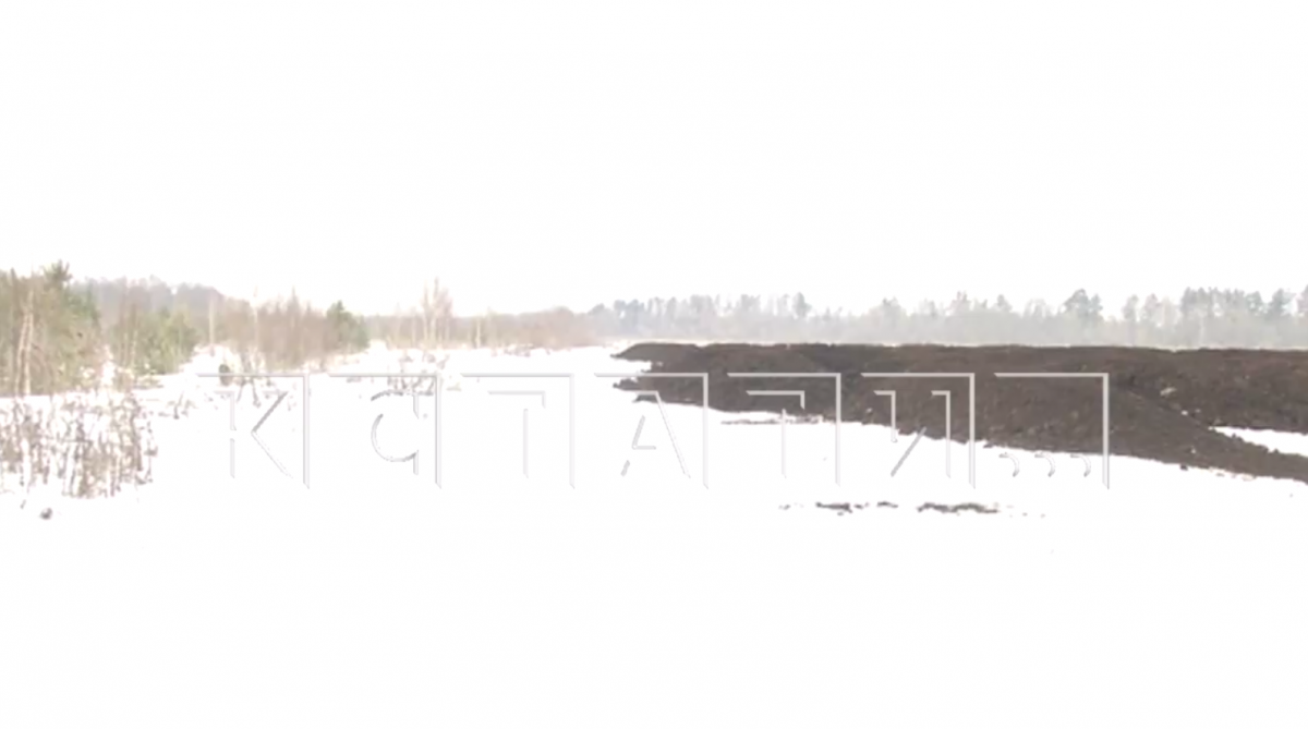 Жители Павлова задыхаются от запаха куриного помета с птицефабрики - фото 1