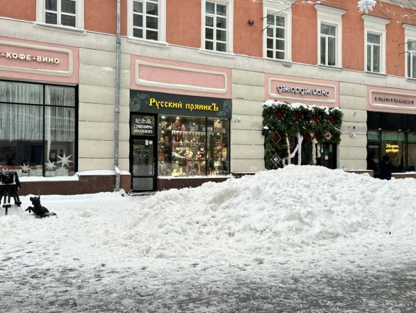Утонули в сугробах: фоторепортаж с улиц Нижнего Новгорода после снежного апокалипсиса - фото 38