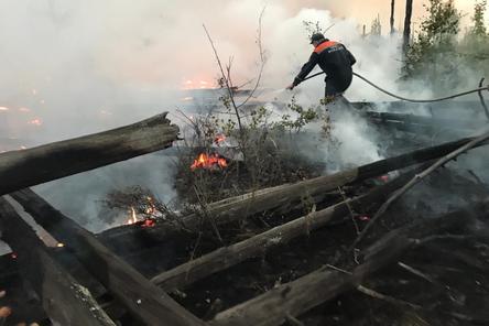 Пожар в Мордовском заповеднике