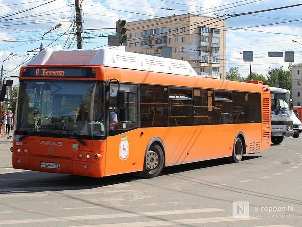 Доехать и выжить: откуда давка в нижегородских автобусах и что с этим делать - фото 15