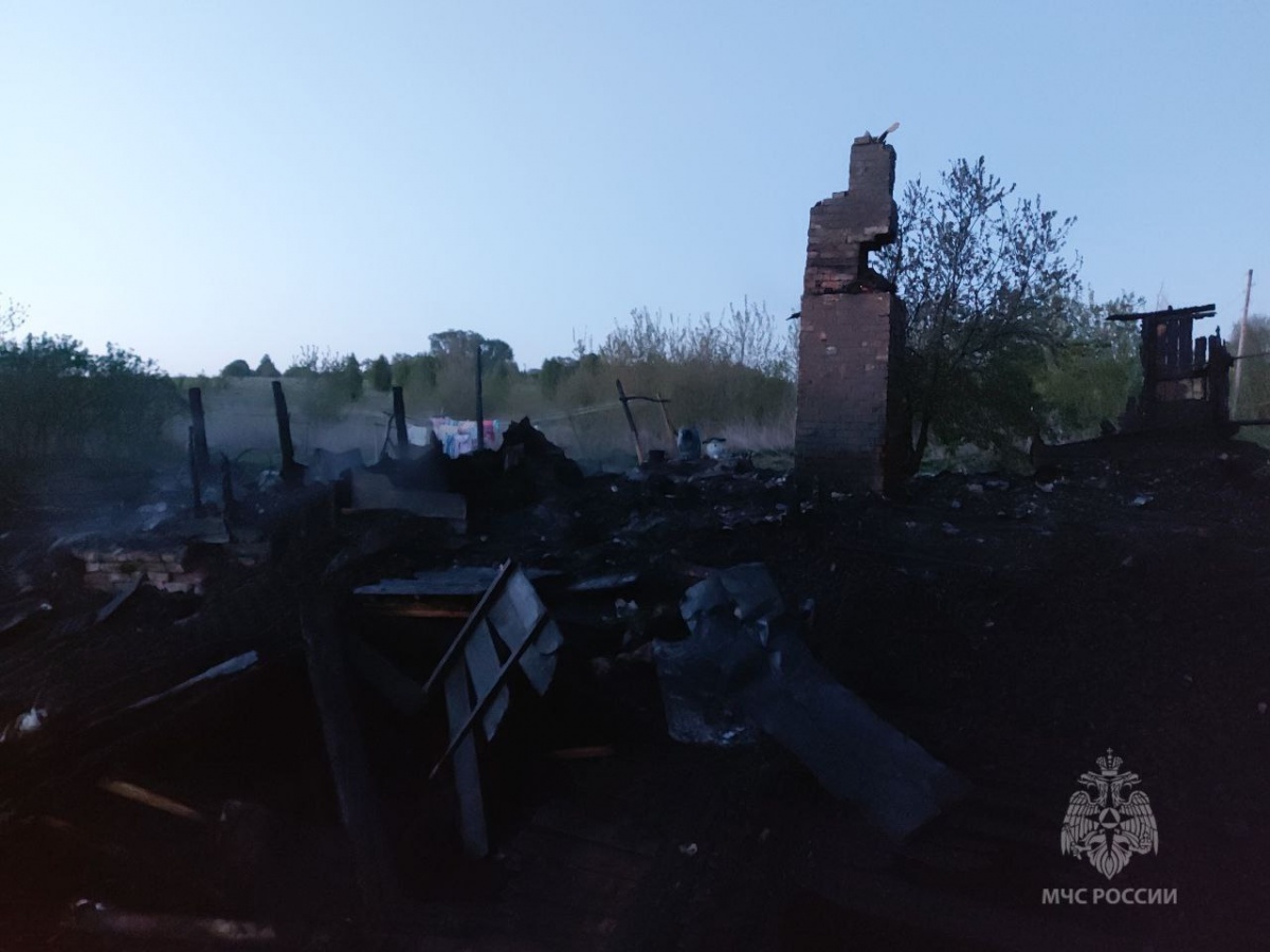 Ребенок и взрослый погибли на пожаре в Нижегородской области - фото 1