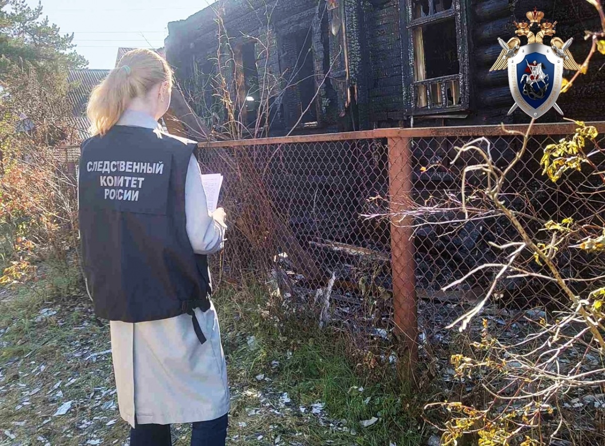 Сжегшего свою сестру нижегородца заключили под стражу до конца ноября - фото 1