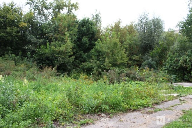 Нижегородцам показали, где будет построен правительственный квартал - фото 31