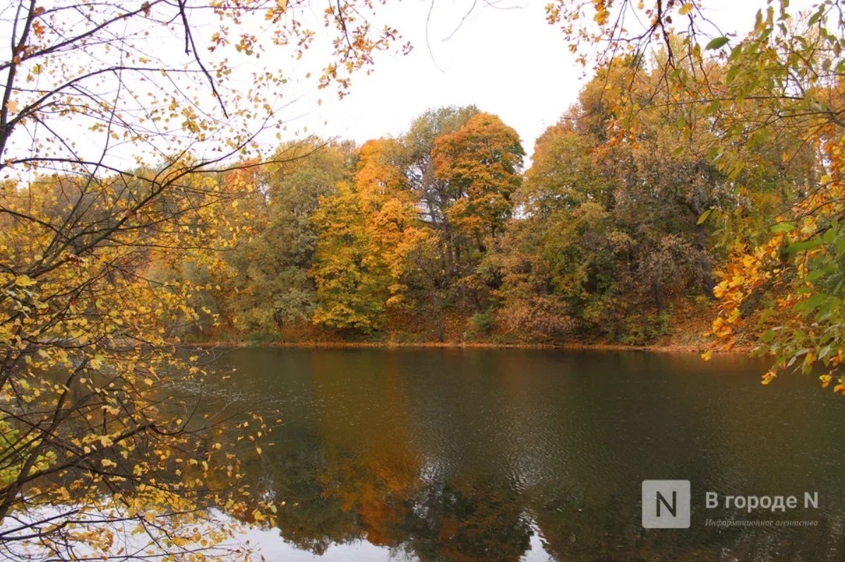 Потепление до +13°С придет в Нижний Новгород в первую неделю октября - фото 1