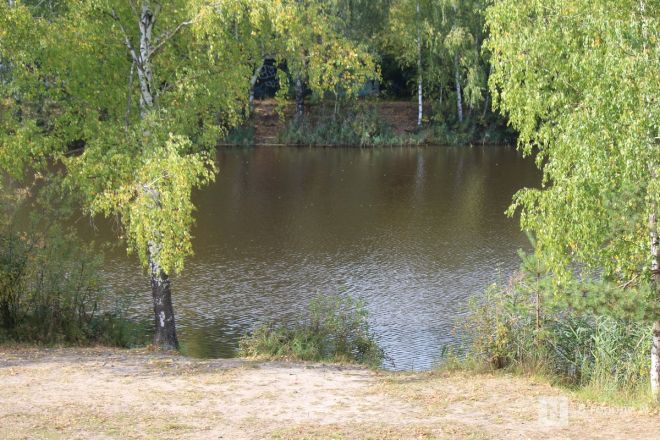 Фоторепортаж: как выглядит Сормовский парк, который ждет масштабная реконструкция - фото 73