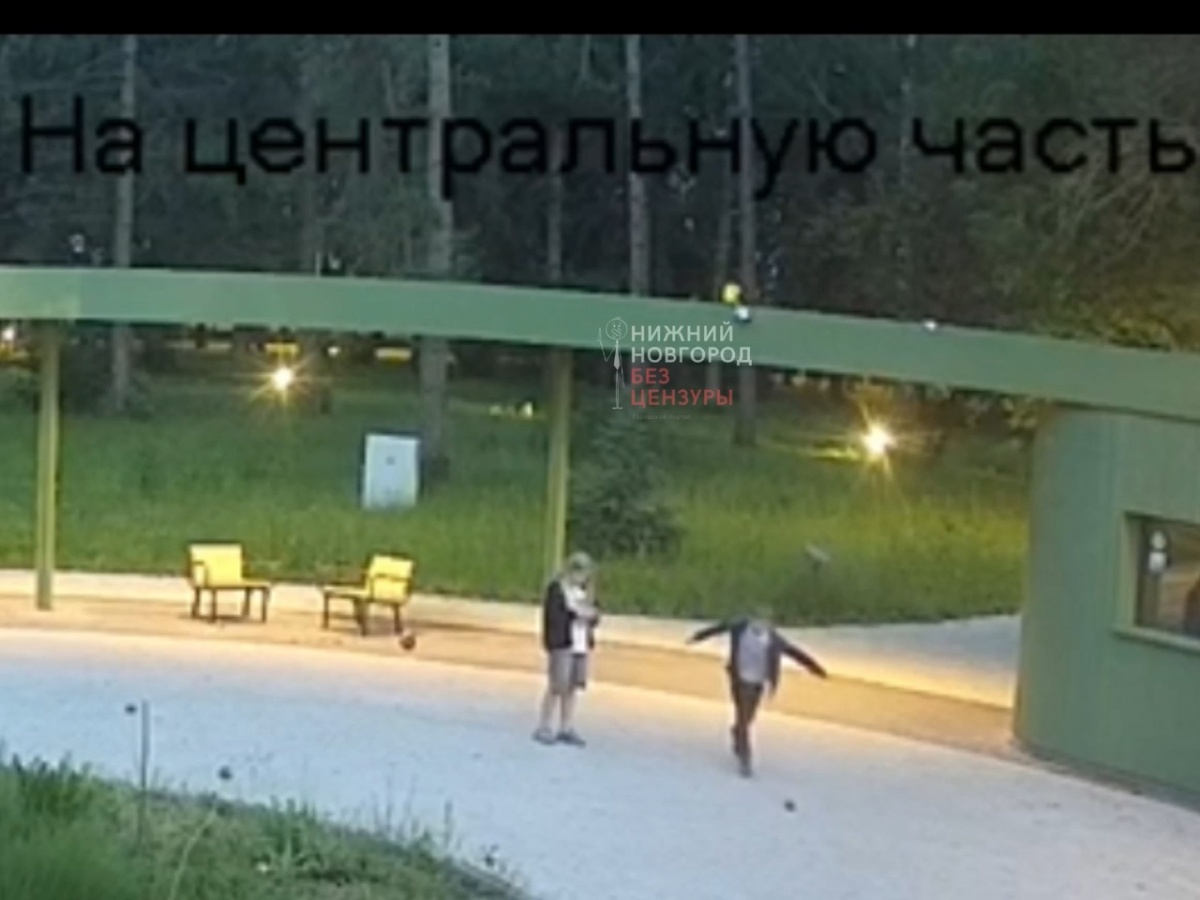 Два юных вандала сломали несколько камер в парке на Бору - фото 1