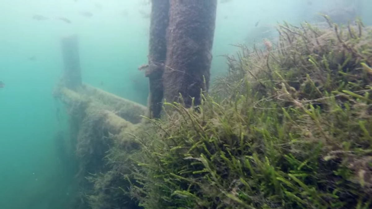 Деревянный мост и пещеры нашли дайверы на дне нижегородского озера - фото 1