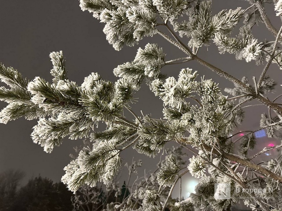 Морозы до -20℃ надвигаются на Нижегородскую область  - фото 1