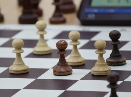 Нижегородские шахматисты завоевали пять медалей на международном турнире