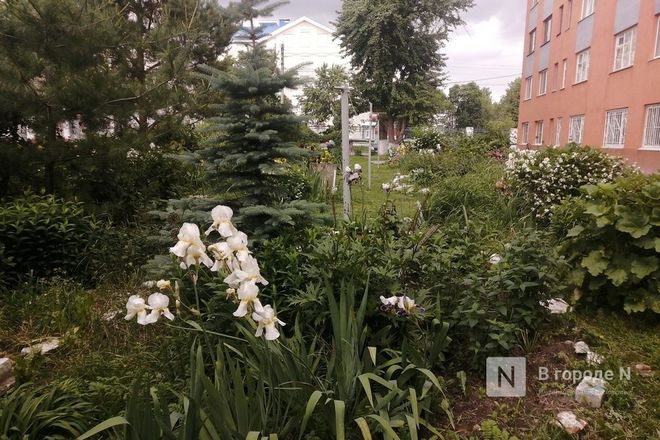 Пять самых красивых дворов Автозавода показали нижегородцам - фото 54