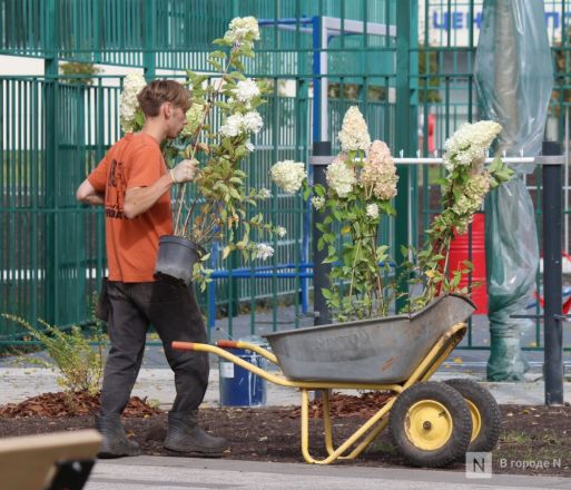 Благоустройство за 200 миллионов: смотрим, как меняется парк 777-летия Нижнего Новгорода - фото 26