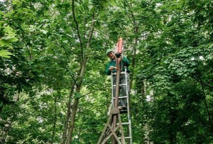 Новый арт-объект появился в нижегородском парке &laquo;Швейцария&raquo; - фото 1