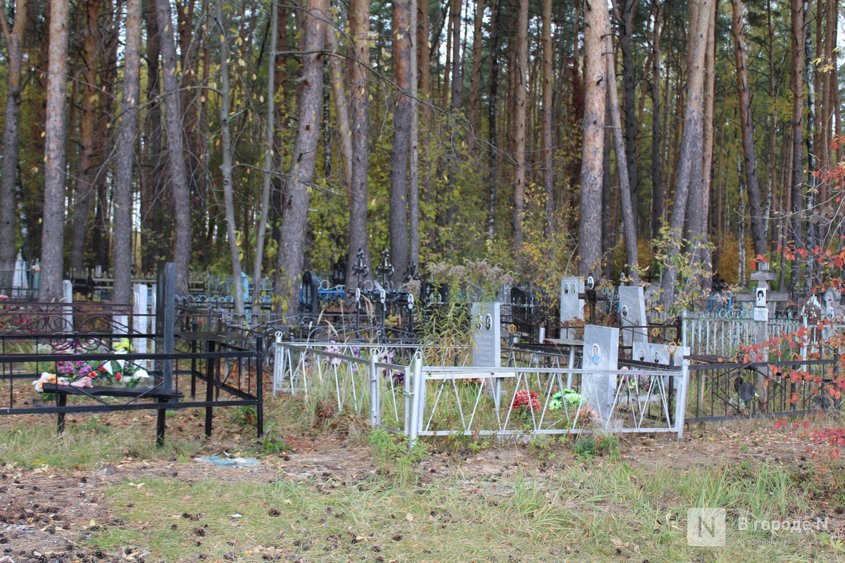 Огромные памятники и скромные кресты: показываем, как выглядят могилы известных нижегородских политиков - фото 40