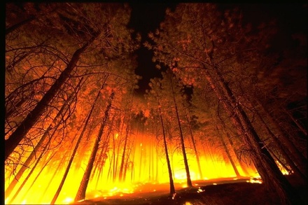 В Нижегородской области вновь объявлено экстренное предупреждение из-за высокой пожароопасности
