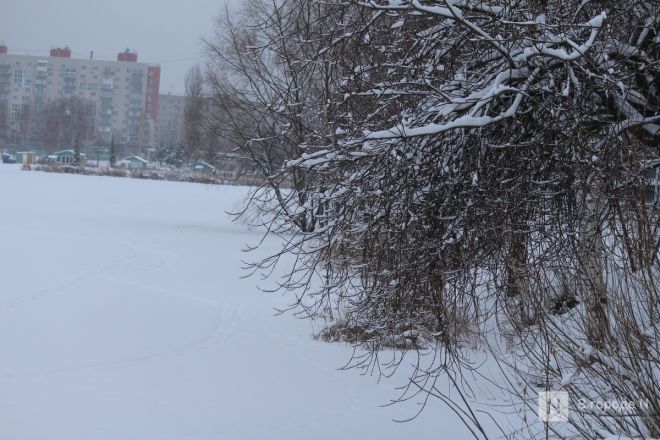 Фоторепортаж: как выглядит парк 777-летия Нижнего Новгорода после благоустройства - фото 60