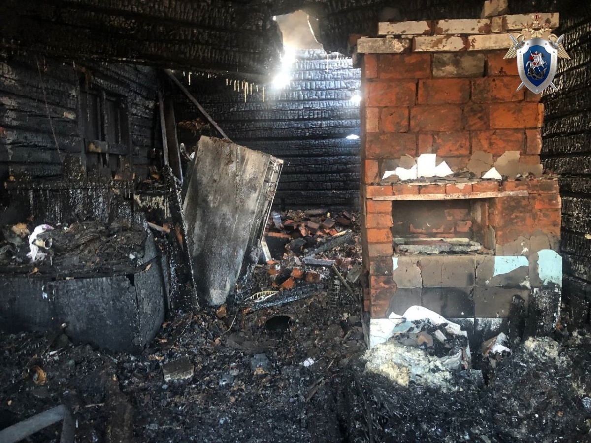 Следователи выясняют обстоятельства гибели мужчины на пожаре в Дальнеконстантиновском районе - фото 2