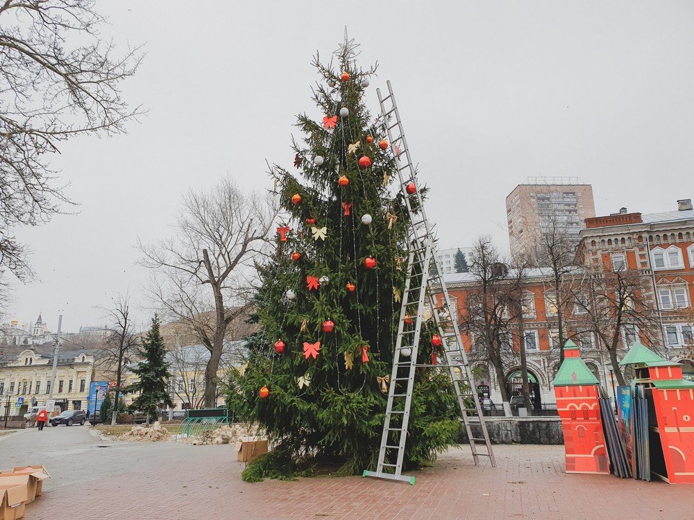 Живую новогоднюю елку на площади Маркина установил НБД-Банк - фото 1