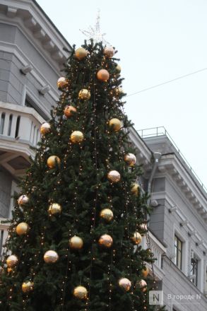 Матрешки, кони и сотни огней: карта самых атмосферных новогодних локаций &mdash; 2026 в Нижнем Новгороде - фото 133