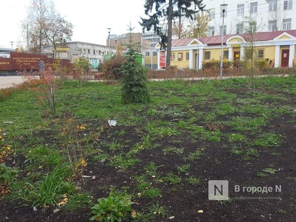 Живые изгороди и паркур-парк: как изменился Советский район - фото 26