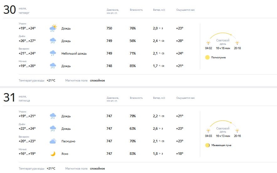 Опубликован подробный прогноз погоды на конец июля в Нижнем Новгороде - фото 4