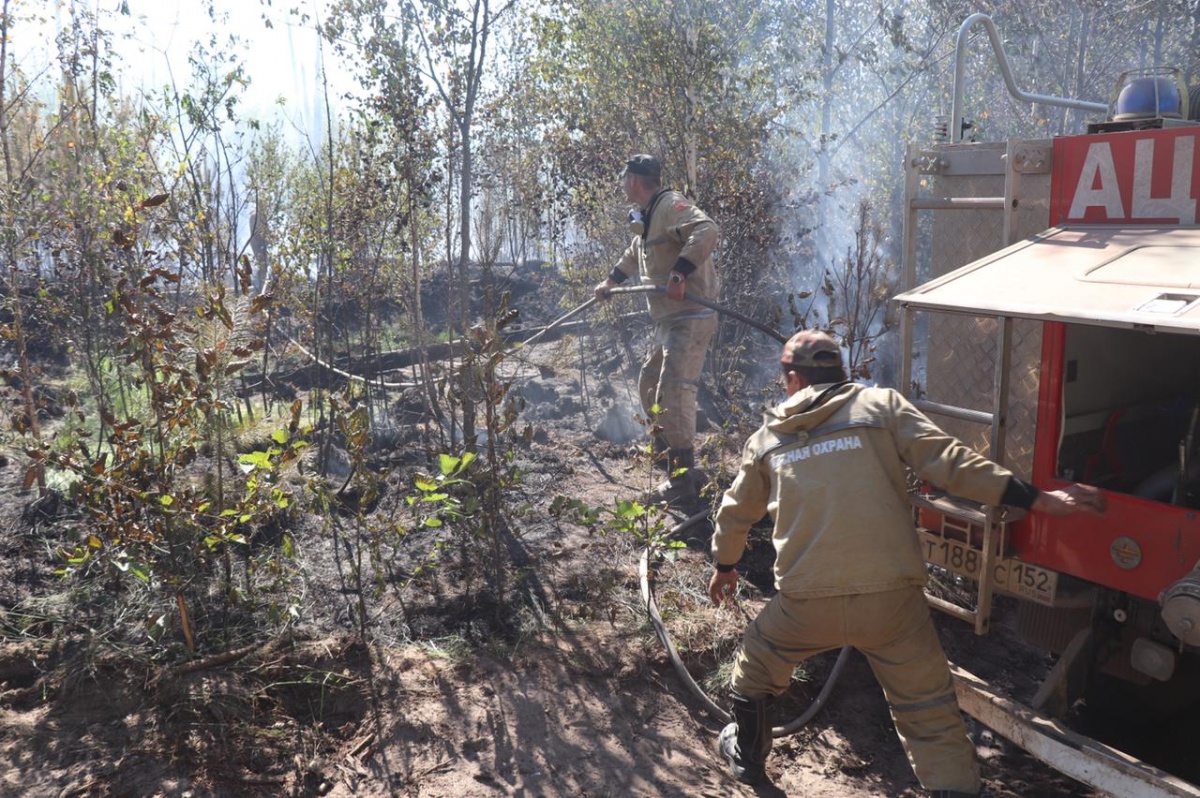 Иркутские пожарные-десантники помогут тушить лес в Воротынском районе - фото 1