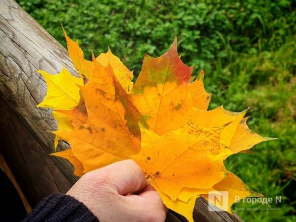 Та самая пушкинская осень: уютный фоторепортаж из Большого Болдина - фото 21