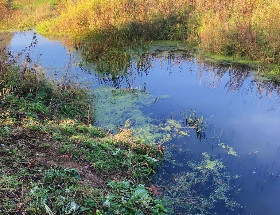 Тело погибшего мужчины достали из реки в Нижегородской области - фото 1