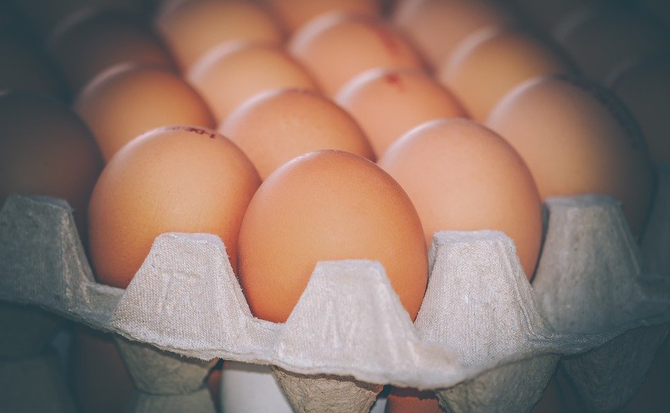 Росконтроль назвал марки куриных яиц с антибиотиками - фото 3
