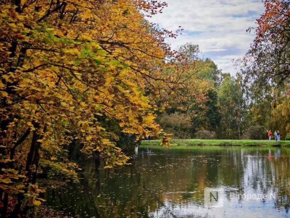Та самая пушкинская осень: уютный фоторепортаж из Большого Болдина - фото 16