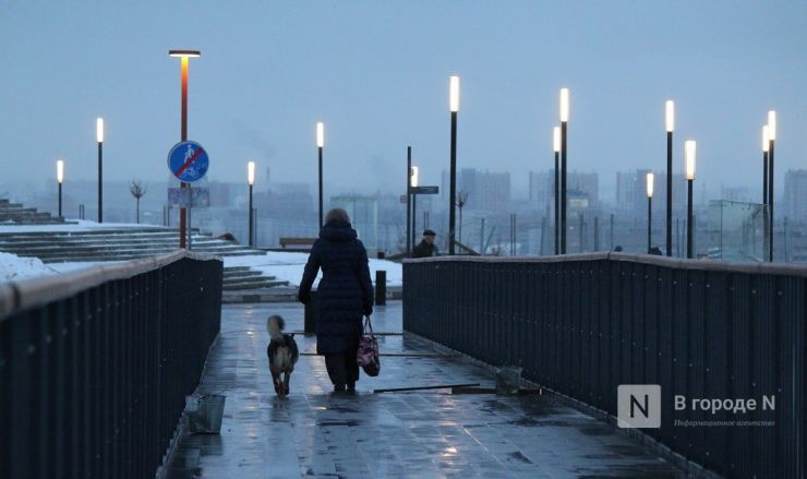 Сотни огней: новое освещение появилось на набережной Федоровского - фото 16