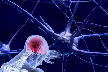 Девять мифов о теле человека, в которые стыдно верить