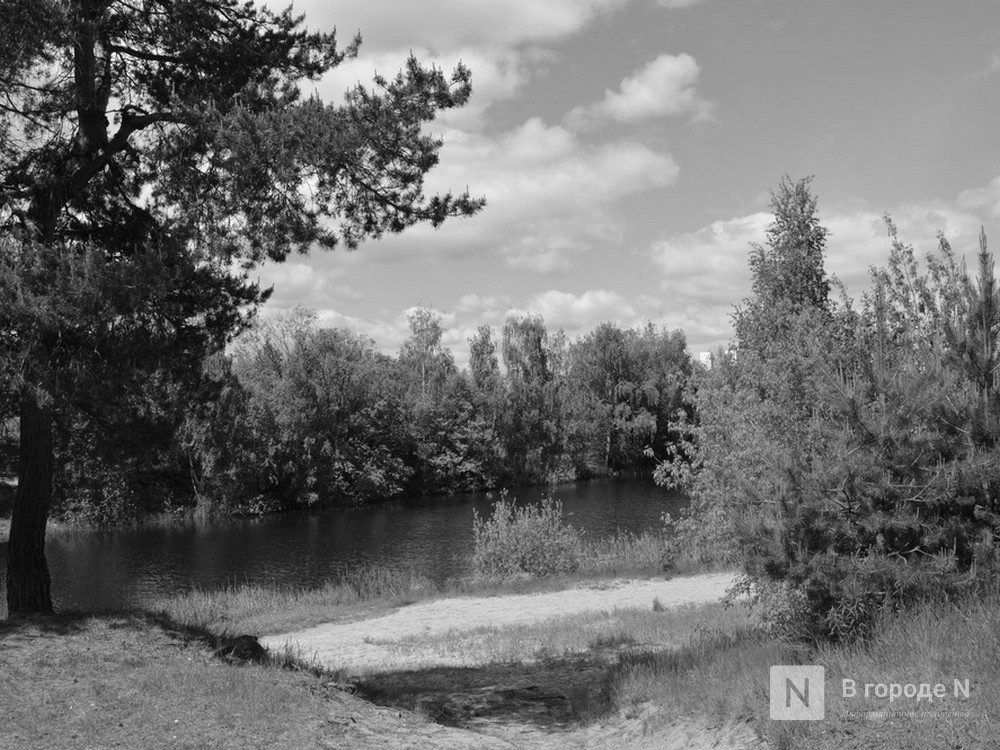 Хроника нижегородская область