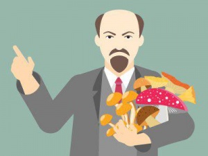 Можно ли есть дрожалку? Как Ленин стал грибом? Непростой тест для любителей тихой охоты