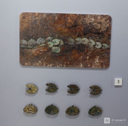 Монеты, украшения и боевые топоры: фоторепортаж с выставки археологических находок в Нижнем Новгороде - фото 98