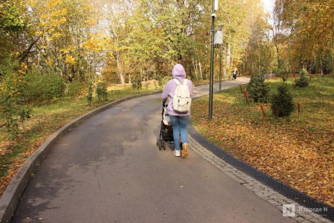 Фоторепортаж: золотая осень в Нижнем Новгороде - фото 48