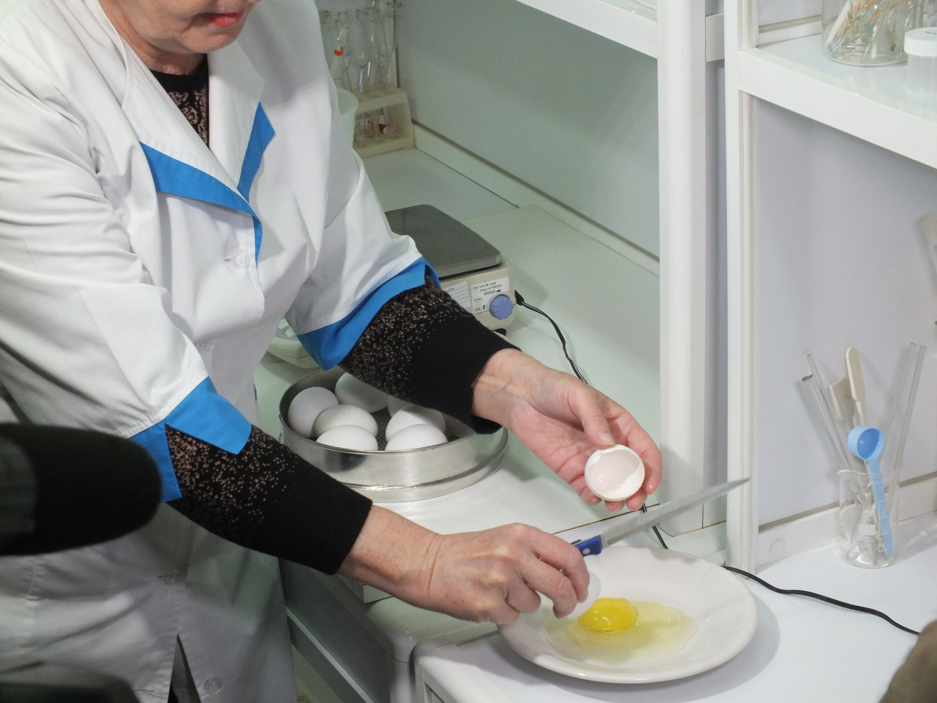 Не простое, а золотое: в Нижнем Новгороде проверили качество магазинных яиц - фото 3