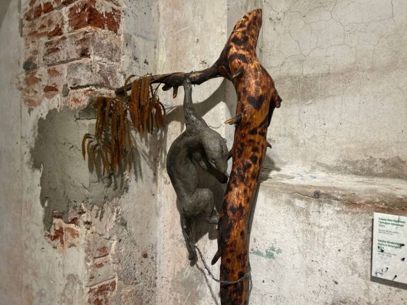 «Кожа Земли»: в Нижнем Новгороде проходит первая международная ЭкоБиеннале - фото 20