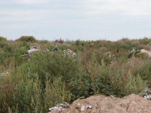 Незаконную свалку на юге Богородска ликвидируют к 2023 году