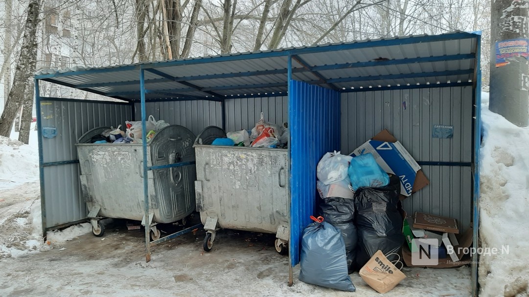 Проблемы с вывозом мусора остались в Нижегородском и Советском районах - фото 1